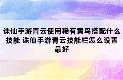 诛仙手游青云使用稀有黄鸟搭配什么技能 诛仙手游青云技能栏怎么设置最好